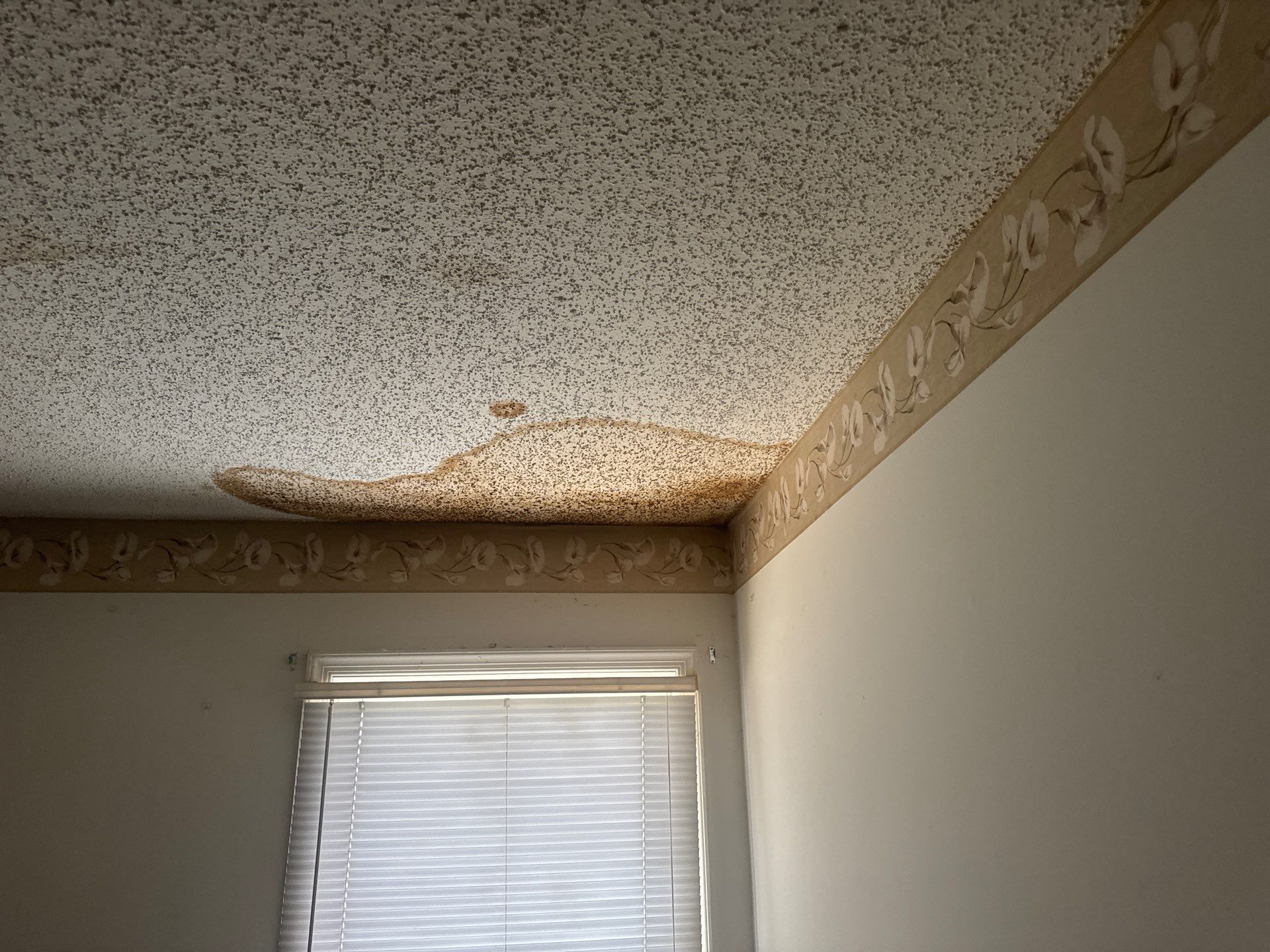 Visible water damage and staining on a residential ceiling, indicating potential moisture and mold issues.