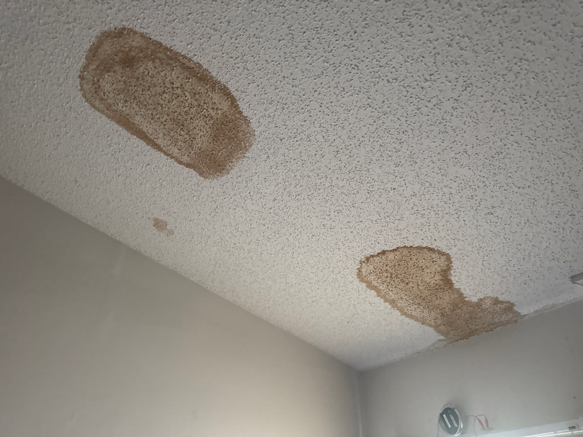 Dark water stains on a residential ceiling indicating possible moisture damage and mold growth.
