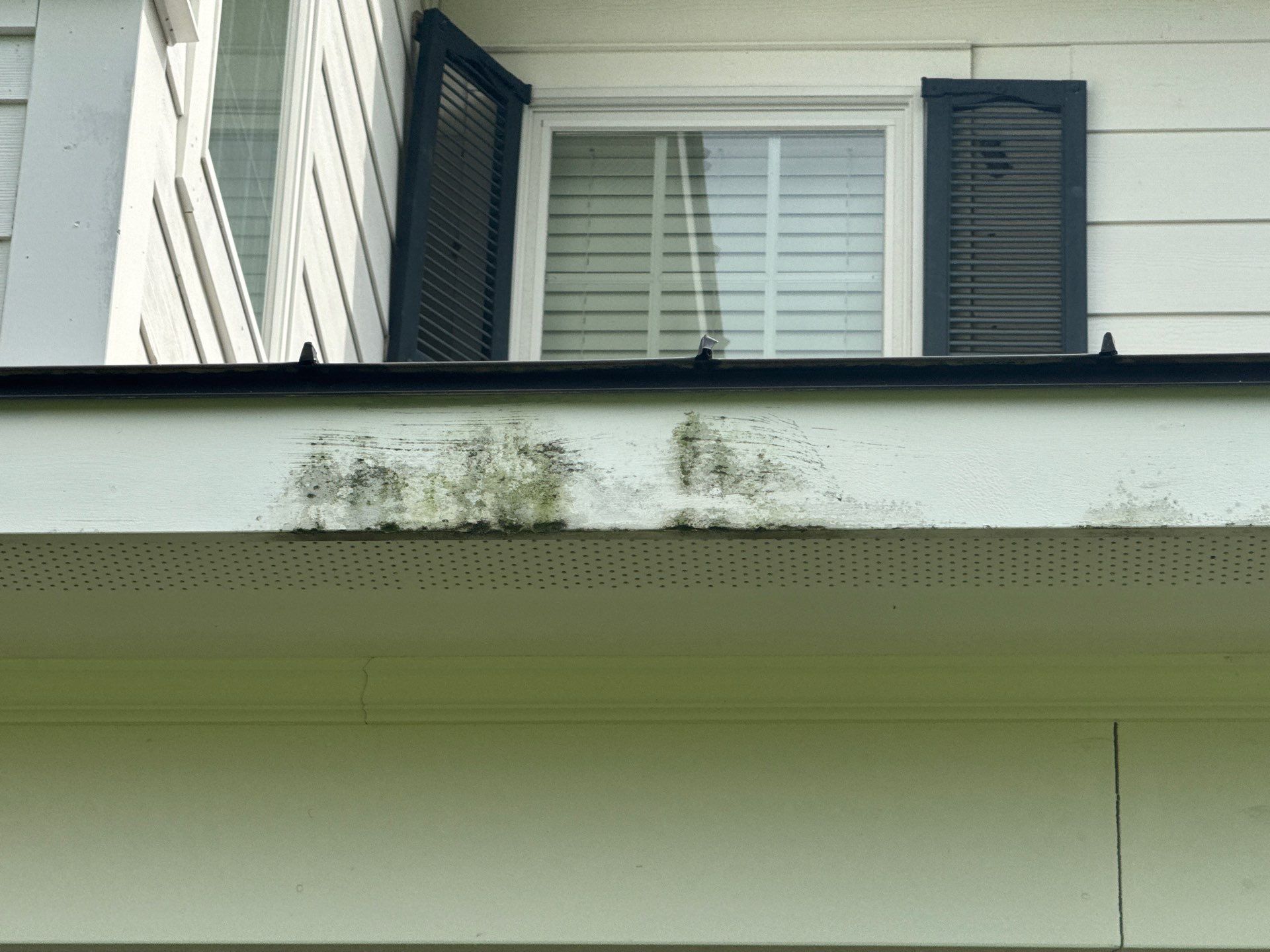 Mold growing on the exterior residential home.