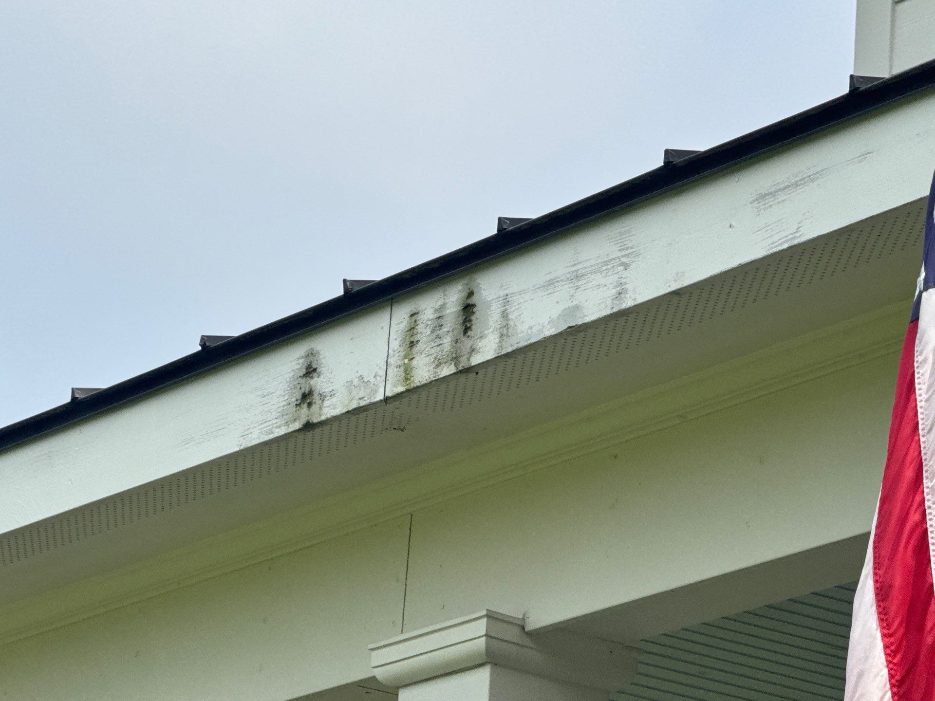 Mold at an Augusta Residential Client's Home